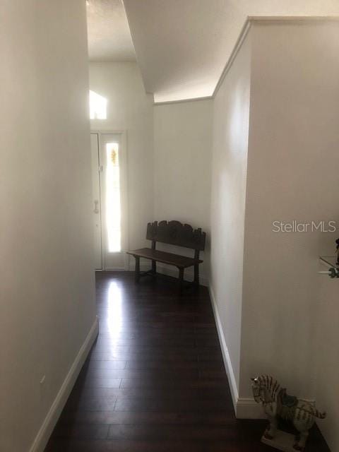 corridor with dark hardwood / wood-style floors