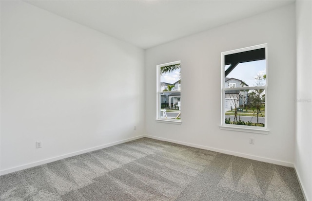 spare room with carpet and a wealth of natural light