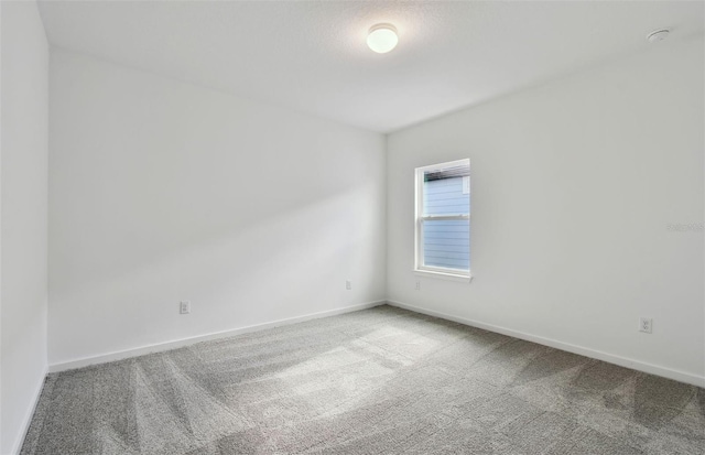 empty room featuring carpet floors