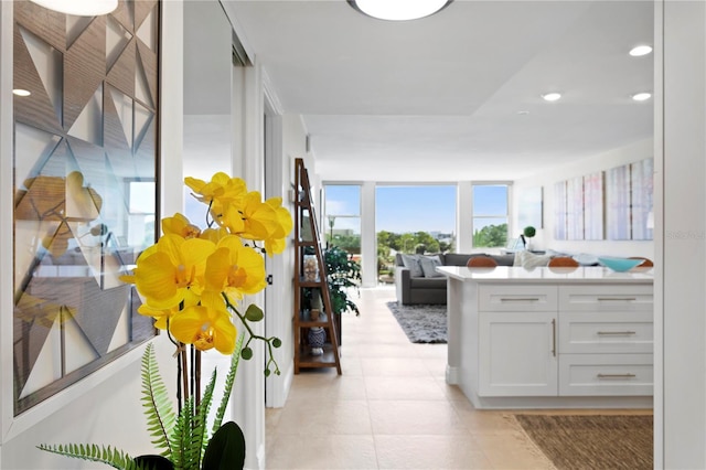 kitchen featuring white cabinets