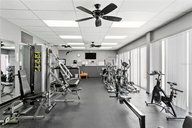 workout area with a drop ceiling and ceiling fan