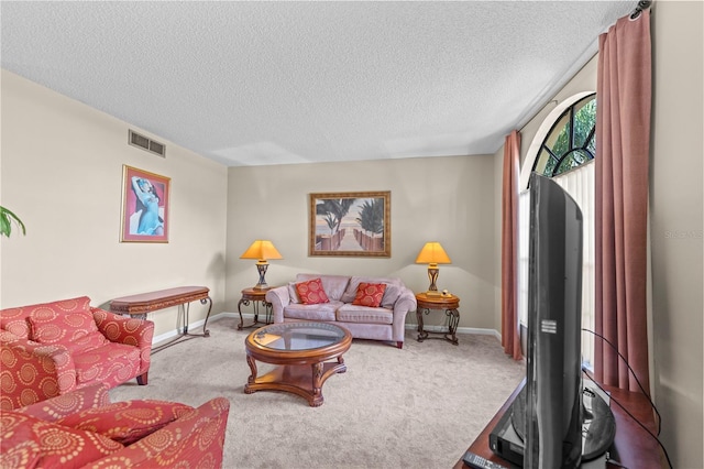 living room with carpet floors and a textured ceiling