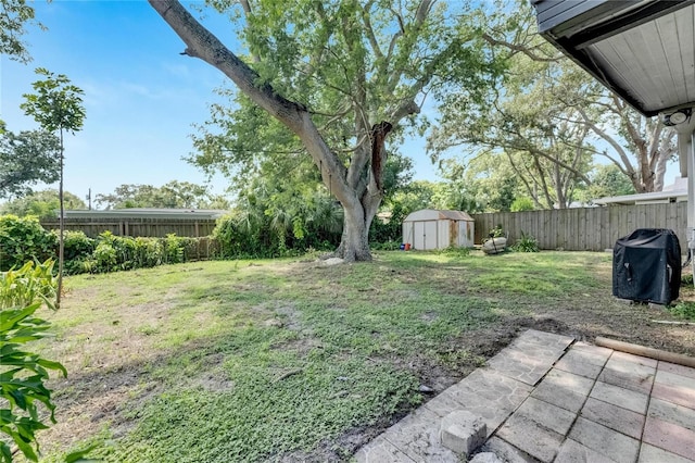 view of yard with a storage unit