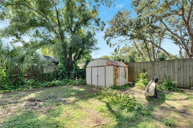 view of yard with a shed