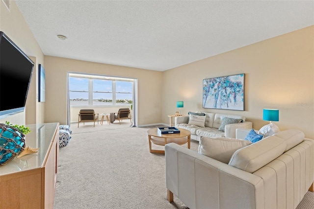 view of carpeted living area