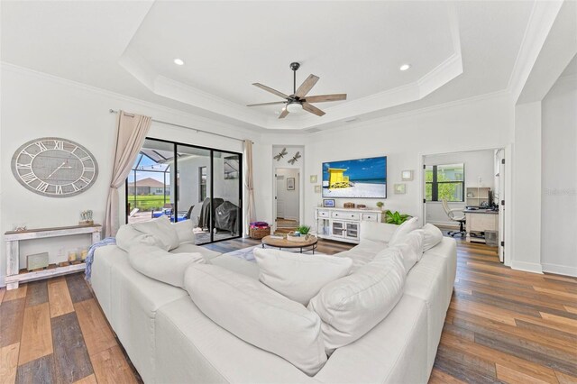 living room featuring a tray ceiling, ceiling fan, and hardwood / wood-style flooring