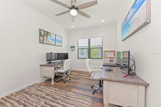 office featuring ceiling fan, crown molding, and hardwood / wood-style floors