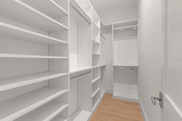 spacious closet featuring light hardwood / wood-style flooring