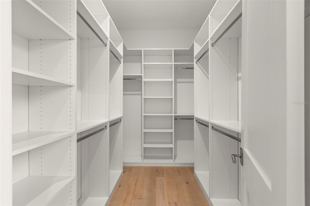 spacious closet with light hardwood / wood-style flooring