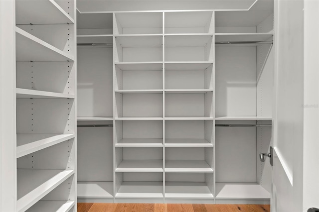 spacious closet with wood-type flooring