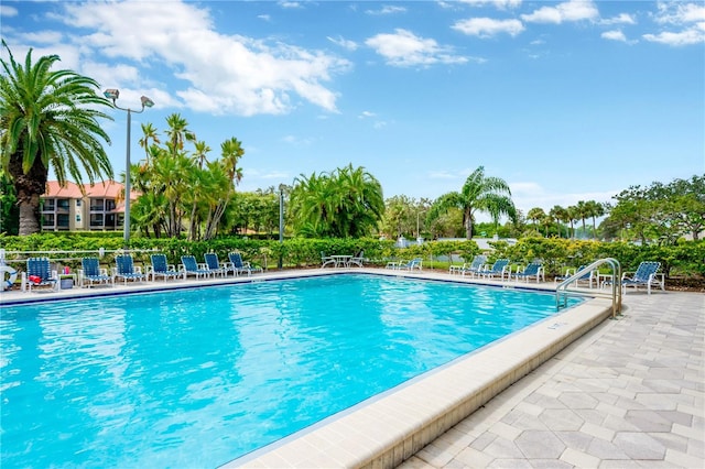 view of pool featuring a patio