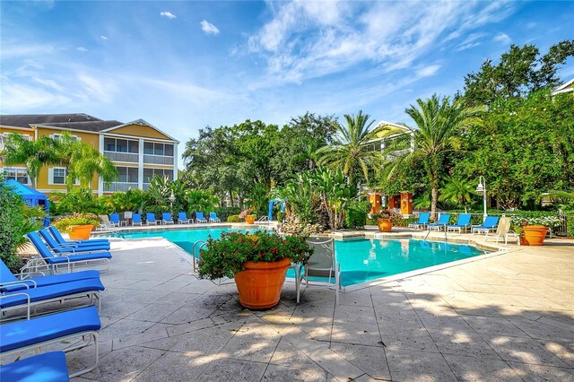 view of swimming pool with a patio