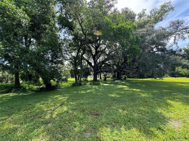 9002 Temple Terrace Highway, Tampa, FL 33637 - photo 35