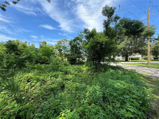 9002 Temple Terrace Highway, Tampa, FL 33637 - photo 44