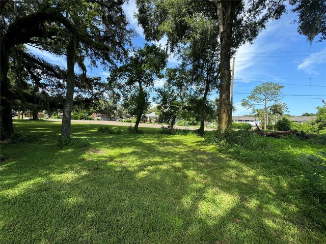 9002 Temple Terrace Highway, Tampa, FL 33637 - photo 48