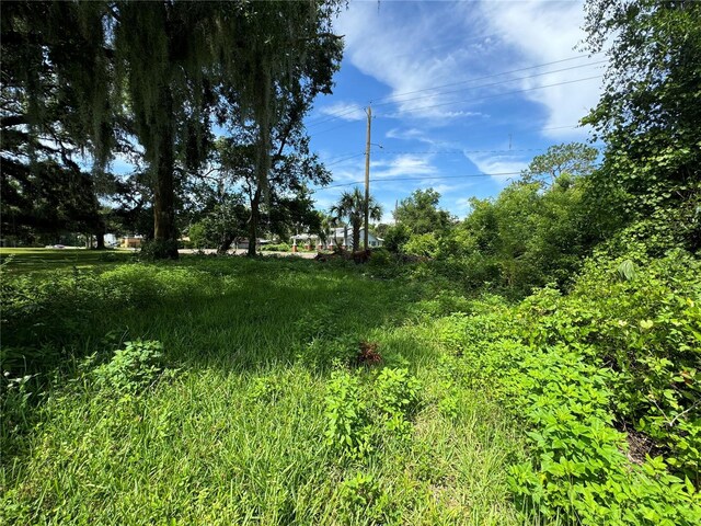9002 Temple Terrace Highway, Tampa, FL 33637 - photo 46