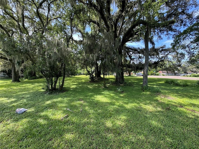 9002 Temple Terrace Highway, Tampa, FL 33637 - photo 47