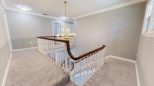 stairway featuring an inviting chandelier, carpet, and crown molding