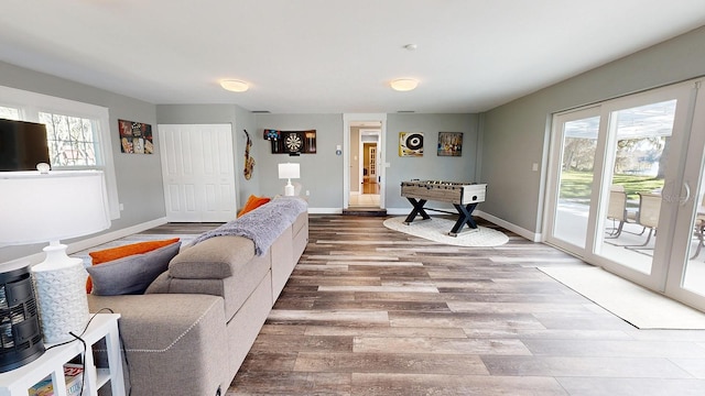 living room with hardwood / wood-style floors