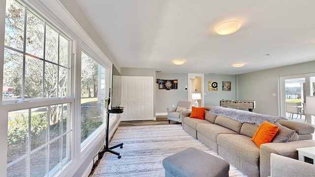 living room featuring wood-type flooring and plenty of natural light