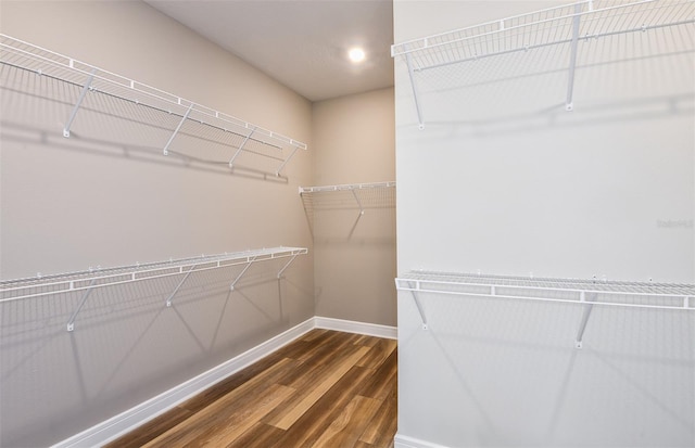 spacious closet with dark hardwood / wood-style flooring