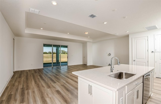 kitchen with a sink, visible vents, a raised ceiling, and stainless steel dishwasher
