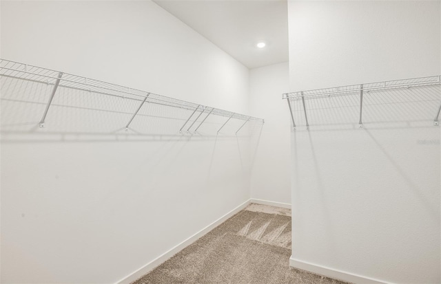 walk in closet with carpet flooring