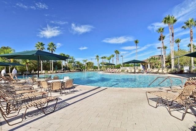 view of swimming pool with a patio