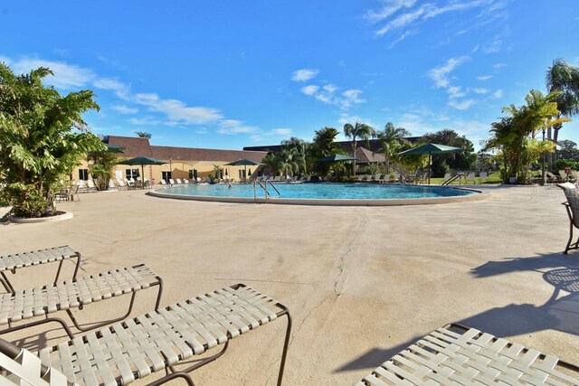 view of pool featuring a patio area