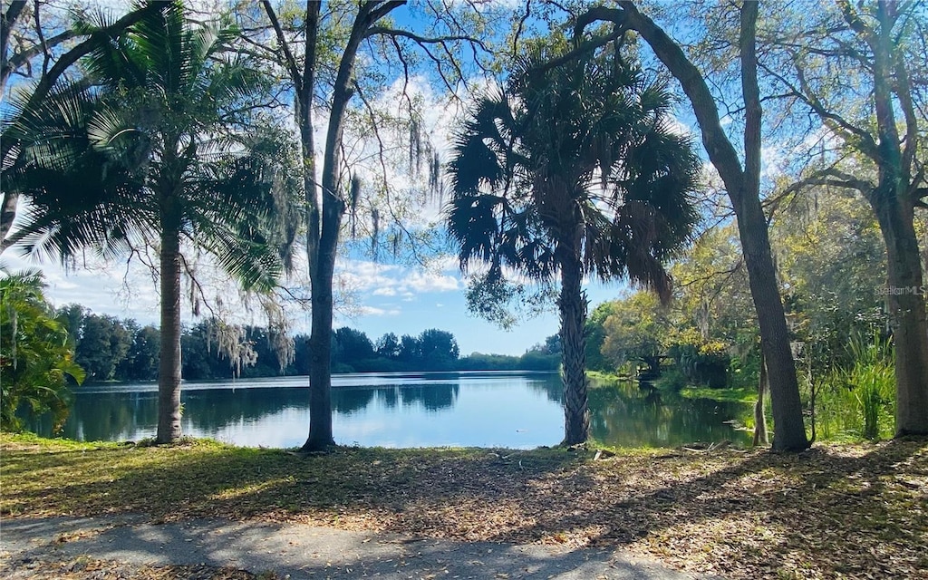 2400 Pine Hammock, Clearwater, FL 33764 - water view with a heavily wooded area
