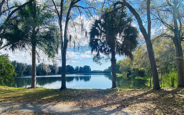 2400 Pine Hammock, Clearwater, FL 33764 - water view with a heavily wooded area
