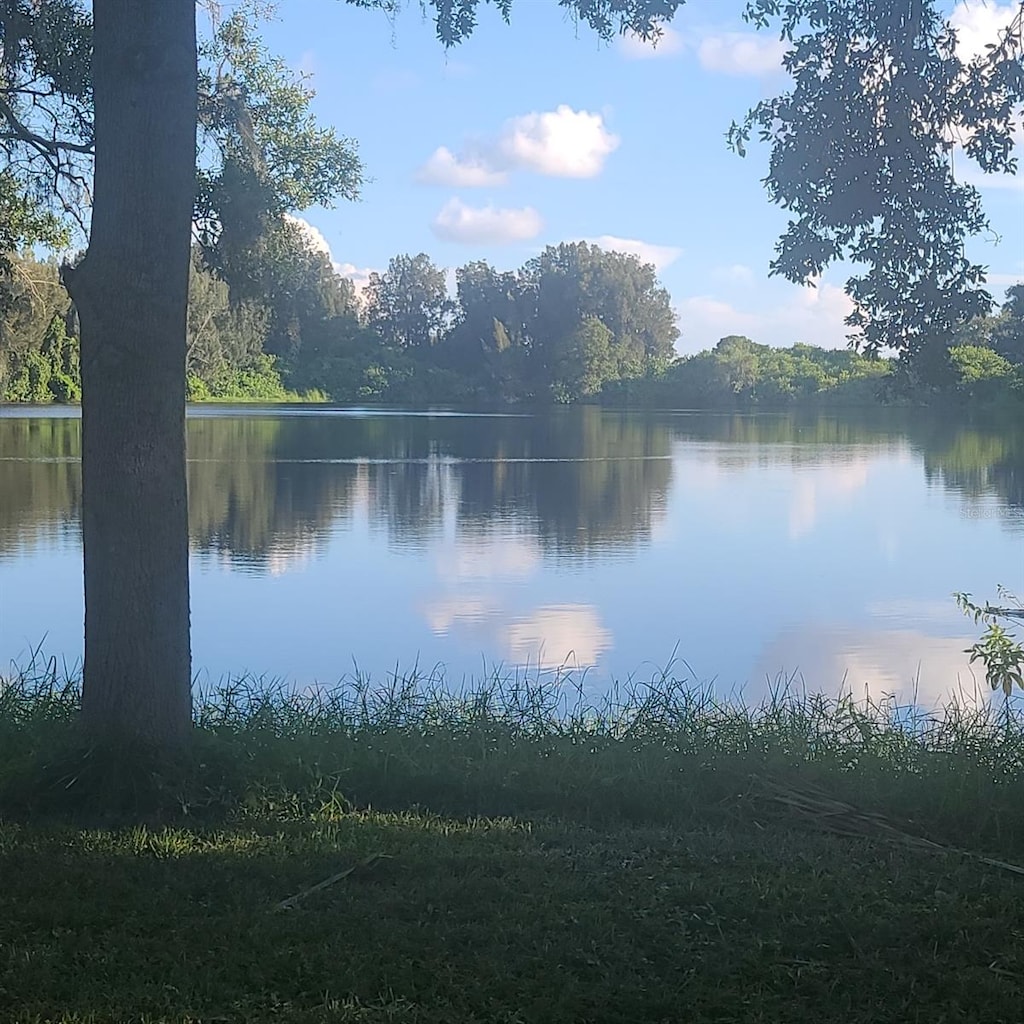 2400 Pine Hammock, Clearwater, FL 33764 - water view with a forest