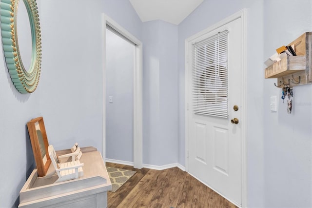 entryway featuring lofted ceiling and hardwood / wood-style flooring