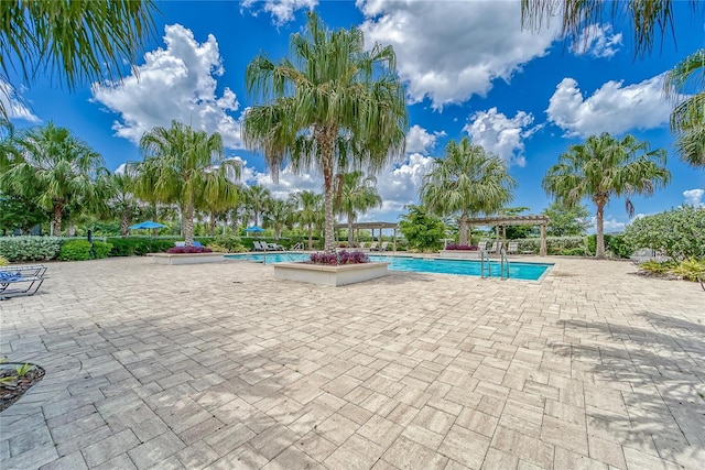 view of swimming pool with a patio