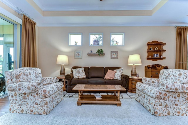 living room featuring crown molding and a raised ceiling