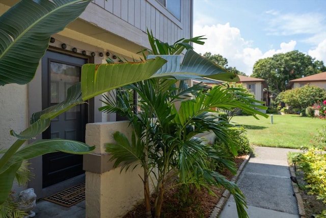 exterior space with a lawn