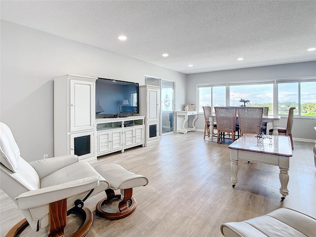 living room with a textured ceiling and light hardwood / wood-style floors