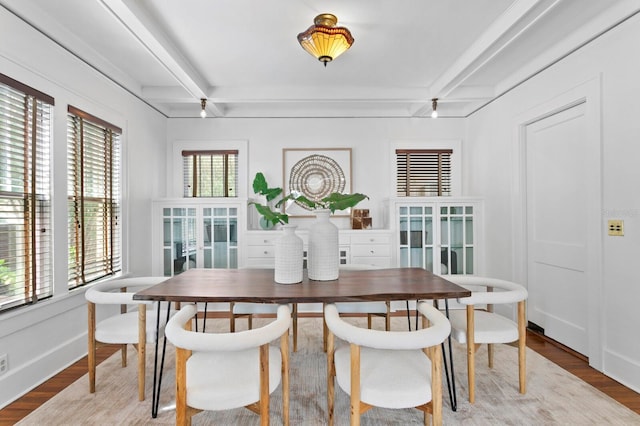 dining space with hardwood / wood-style floors