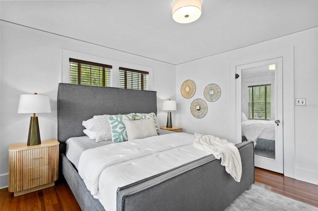 bedroom featuring multiple windows and dark hardwood / wood-style flooring