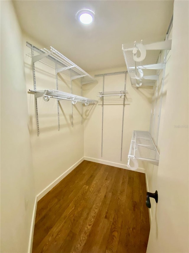 walk in closet with hardwood / wood-style flooring