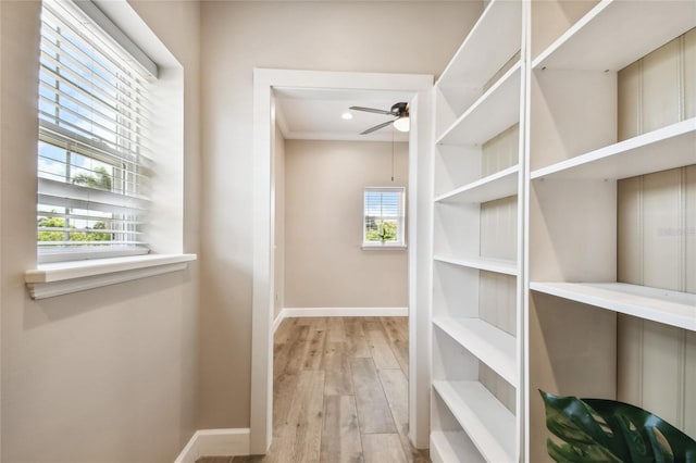 spacious closet with light wood-type flooring and ceiling fan