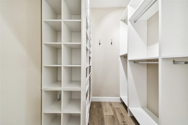 spacious closet featuring light hardwood / wood-style flooring