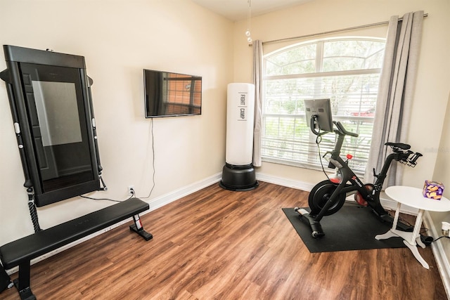 exercise room featuring wood-type flooring