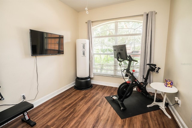 exercise area featuring a healthy amount of sunlight and wood-type flooring