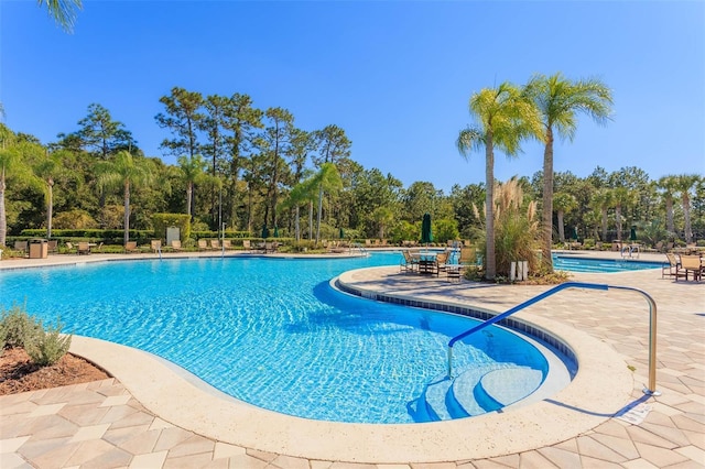 20308 Oak Key Ct, Tampa, FL 33647 - community pool with a patio and view of wooded area