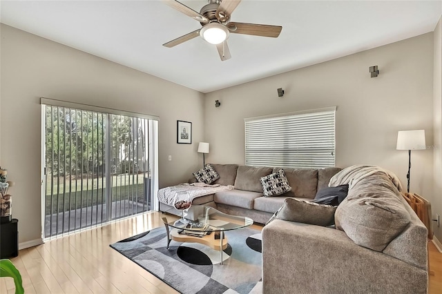 20308 Oak Key Ct, Tampa, FL 33647 - living room with ceiling fan, light wood-type flooring, and baseboards