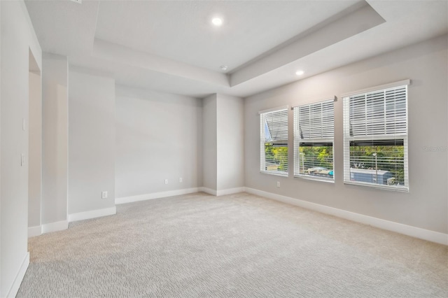 empty room featuring light carpet and a tray ceiling