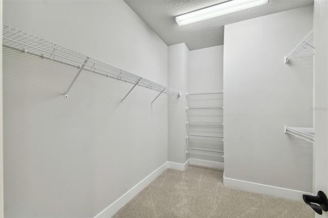 spacious closet featuring light carpet