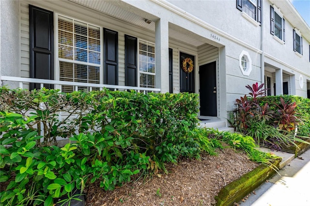 doorway to property featuring a porch and stucco siding