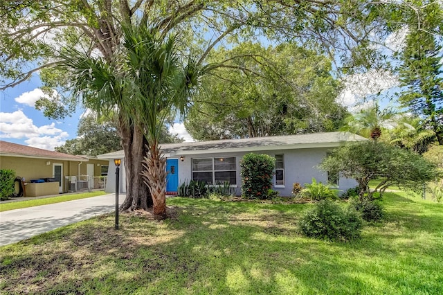 ranch-style house featuring a front yard